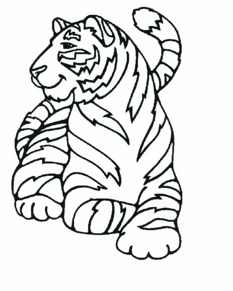 Картинки Тигр для детей