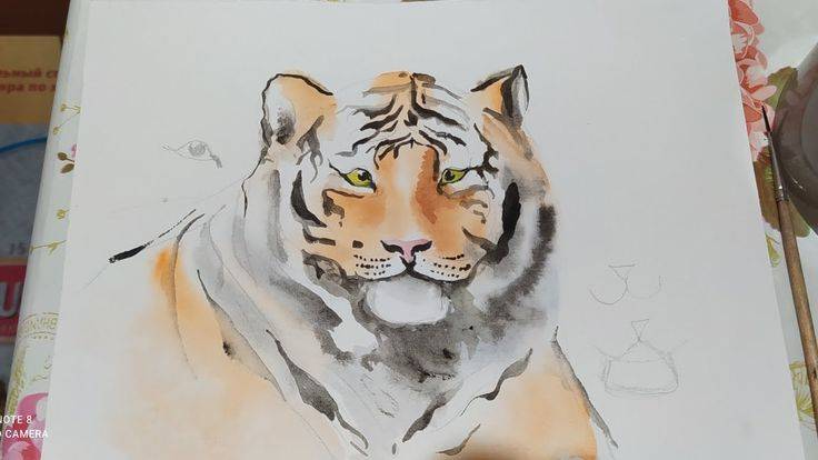 Как нарисовать тигра, видео для детей