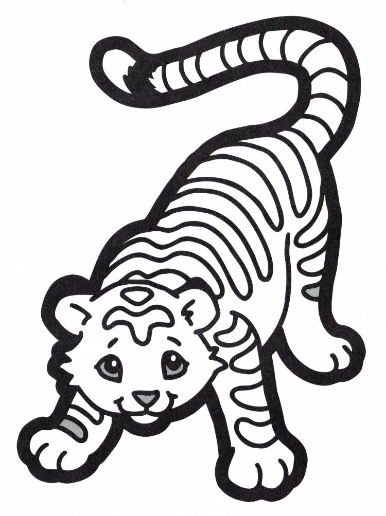 Тигр без полосок раскраска
