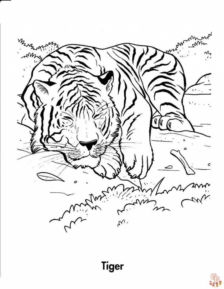 страниц для раскрашивания тигра для детей