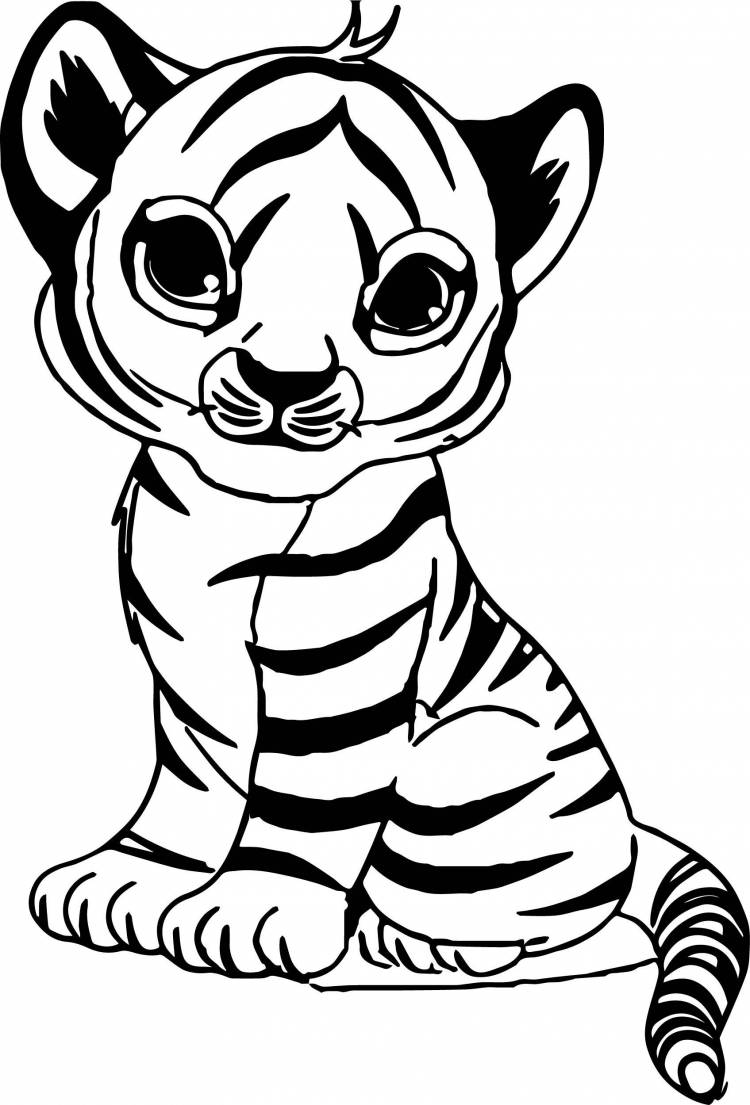 Раскраска Тигр распечатать бесплатно