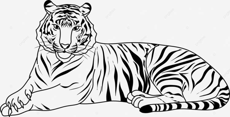 рисунок линии тигра для векторной иллюстрации раскраски книги PNG , книжный рисунок, рисунок тигра, рисунок крысы PNG картинки и пнг рисунок для бесплатной загрузки