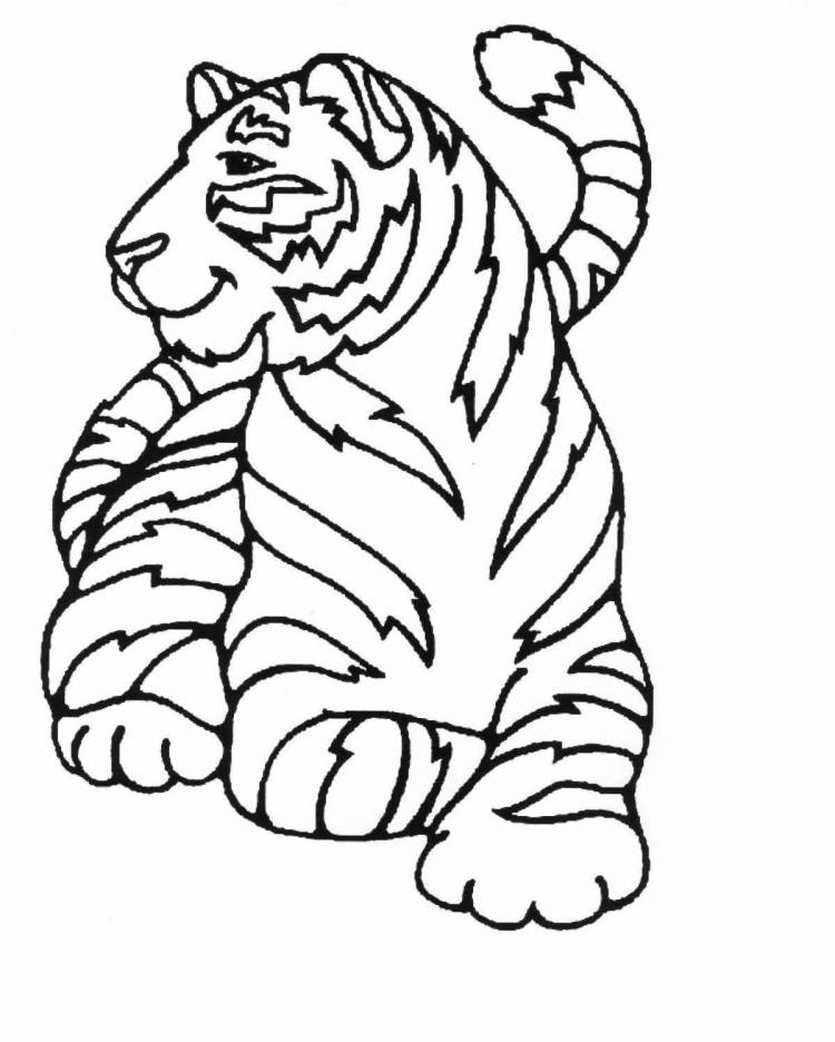 Раскраски Тигр рисунок для детей 