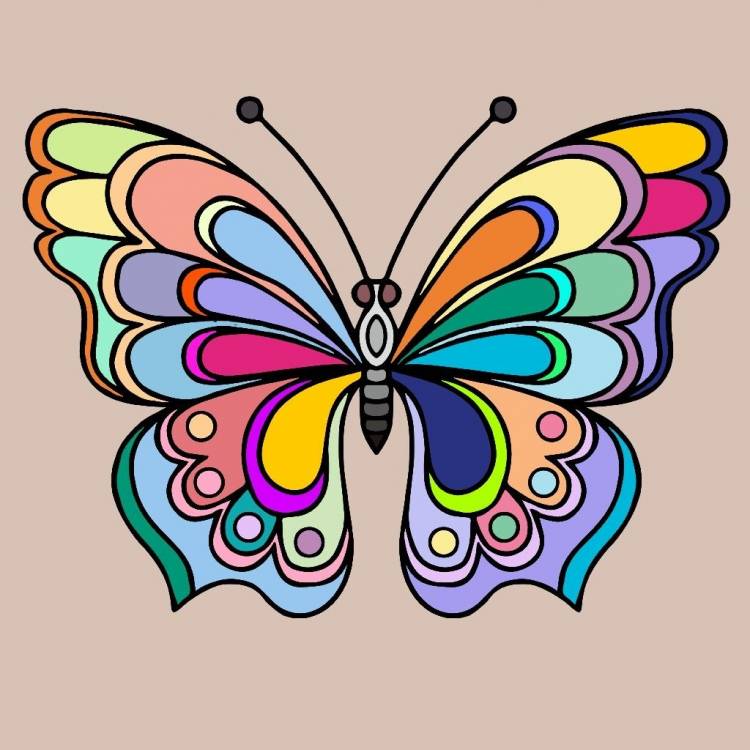 Бабочка рисунок карандашом для детей цветные