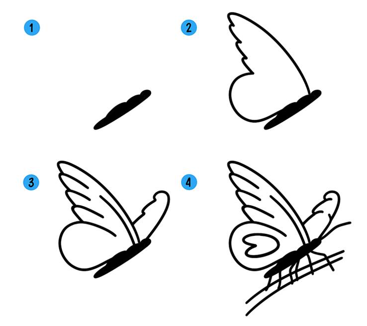 Как нарисовать бабочку поэтапно » рисуем бабочек легко и просто карандашом и красками