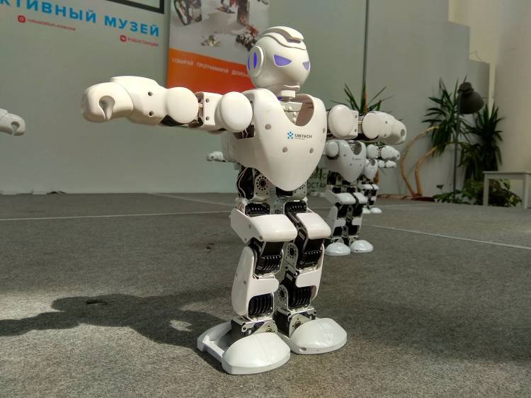 Каталог роботов для обучения основам робототехники