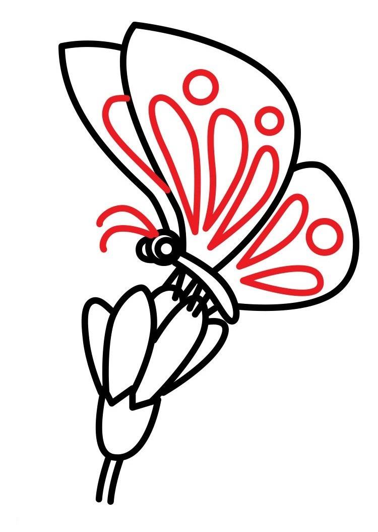 Как нарисовать бабочку на цветке?