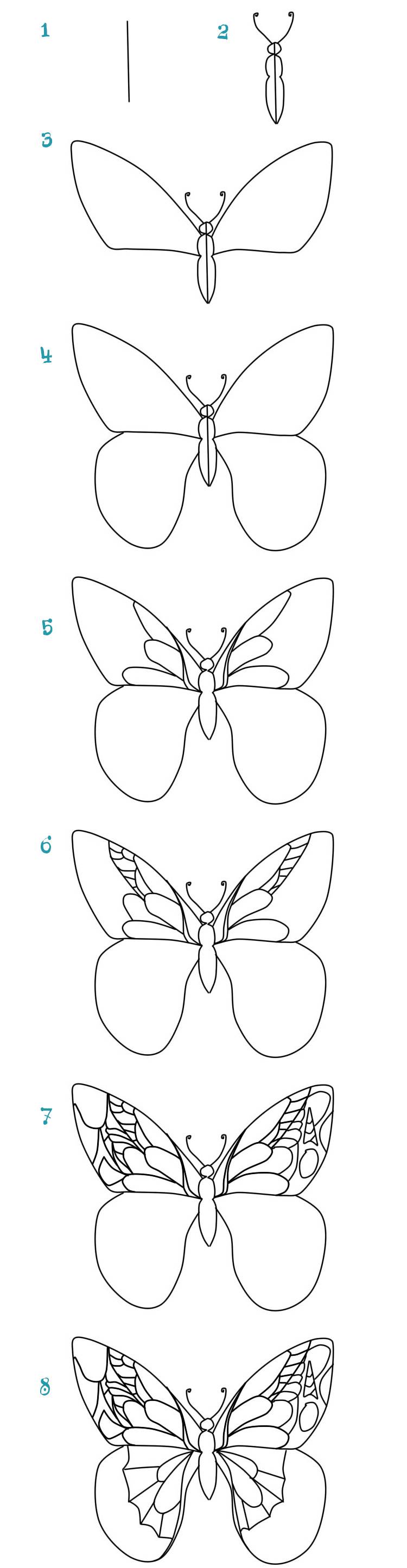 Как нарисовать бабочку