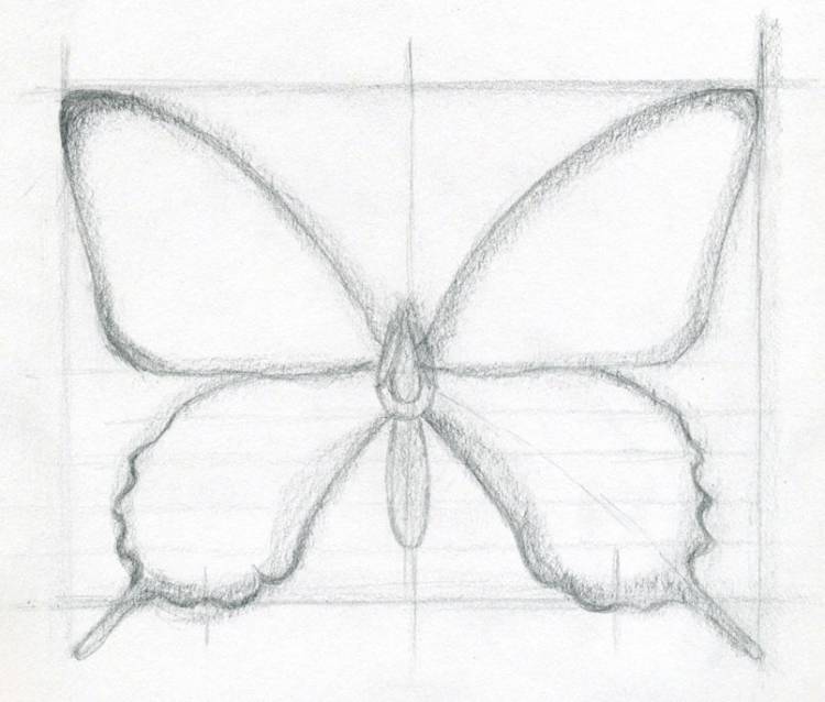 Уроки рисования ответят на вопрос как рисовать бабочку карандашом и в цвете