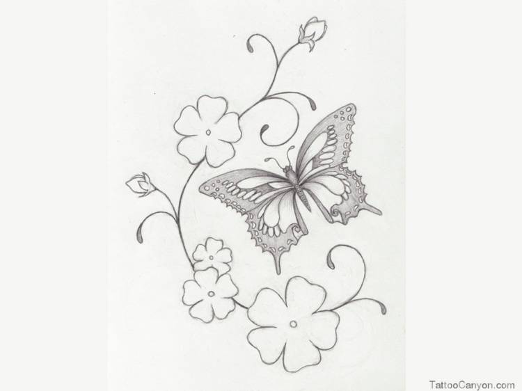 Бабочки с цветами рисунок карандашом