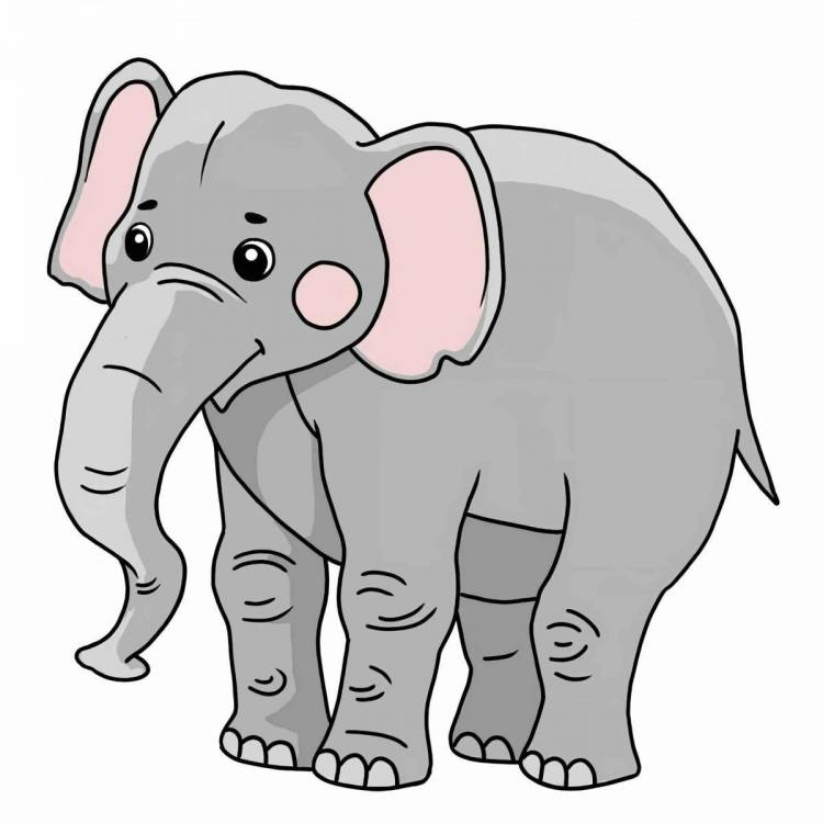 Картинки Слон для детей 