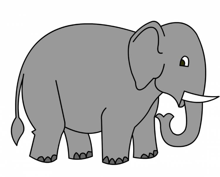 Травоядное животное слон