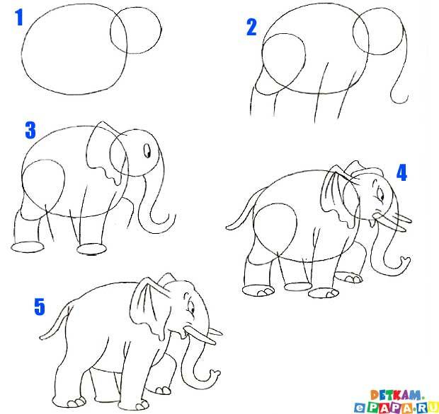 учимся рисовать слона » Как нарисовать поэтапно