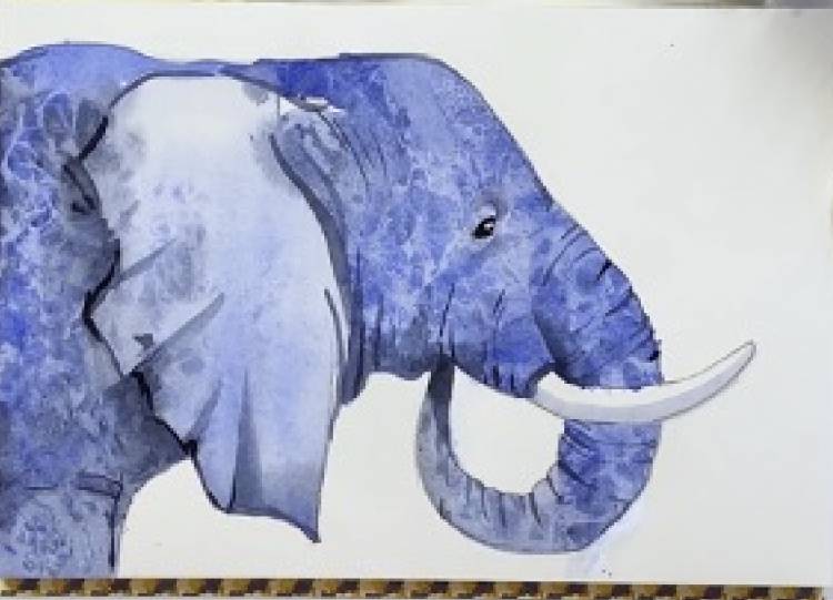 Как нарисовать слона для начинающих