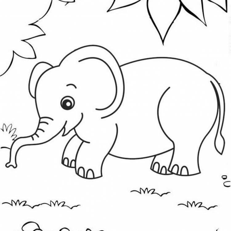 Слон рисунок для детей карандашом