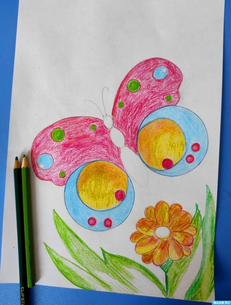 Мастер-класс по рисованию цветными карандашами «Бабочка на лугу» с детьми старшего дошкольного возраста 