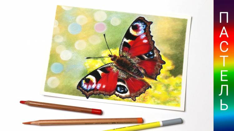 Как нарисовать бабочку пастельными карандашами ✎ Урок рисования Спидпейнт