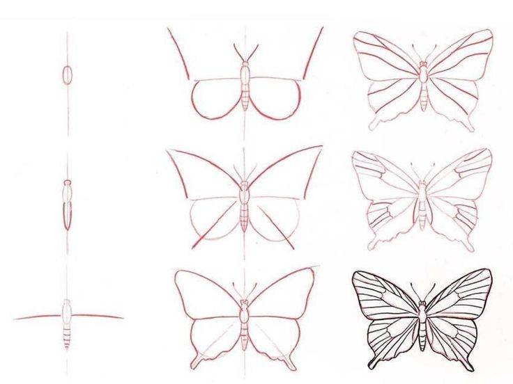 Рисунки карандашом для детей бабочки 