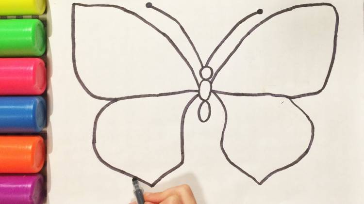 HOW TO DRAW A BUTTERFLY WITH A PENCIL Simple home drawings (Emilia)
