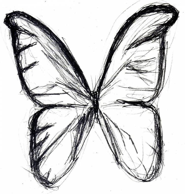 Бабочки рисунок легкий для срисовки