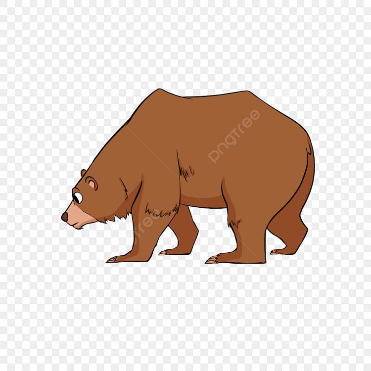 Медведь клипарт рисованной наклейки PNG , медведь клипарт, медведь картинки, печать PNG картинки и пнг PSD рисунок для бесплатной загрузки