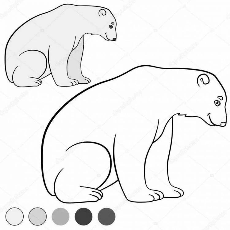 Картинки Белый медведь для детей