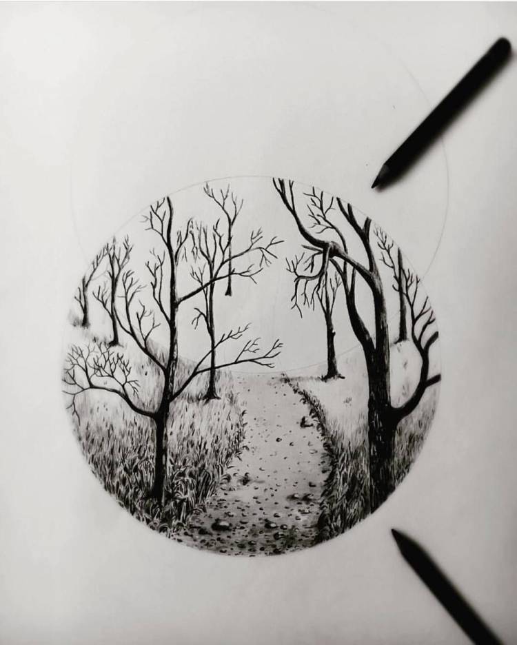 Легкие рисунки черной ручкой природа