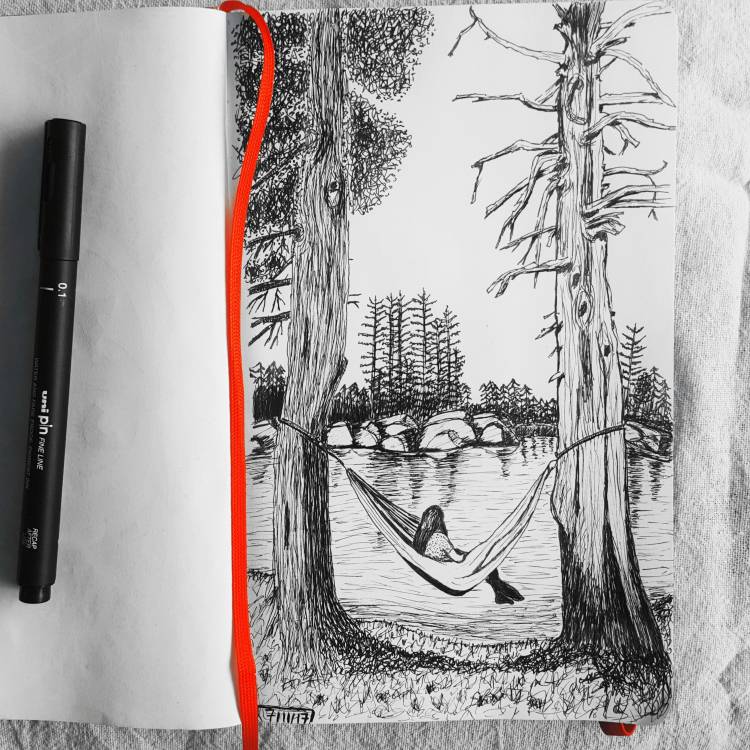 Легкие рисунки черной ручкой природа