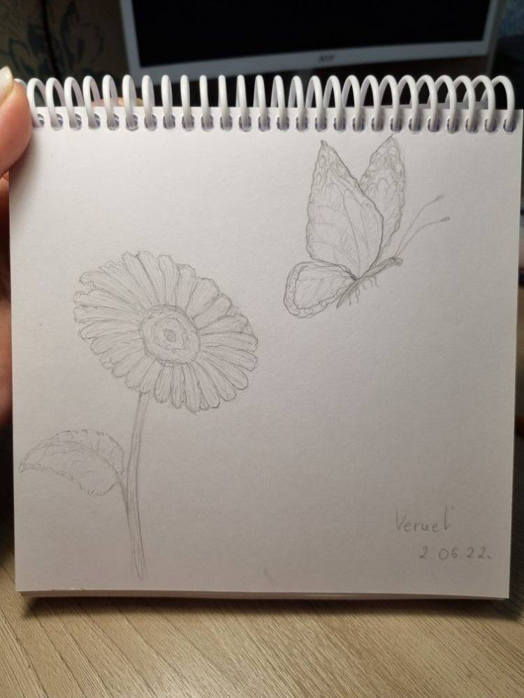 Ромашка и бабочка цветок скетч зарисовка простой рисунок простым карандашом милая картинка