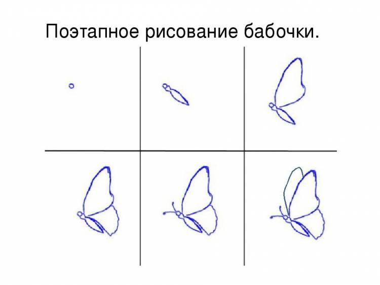 Бабочка рисунок карандашом поэтапно легко 