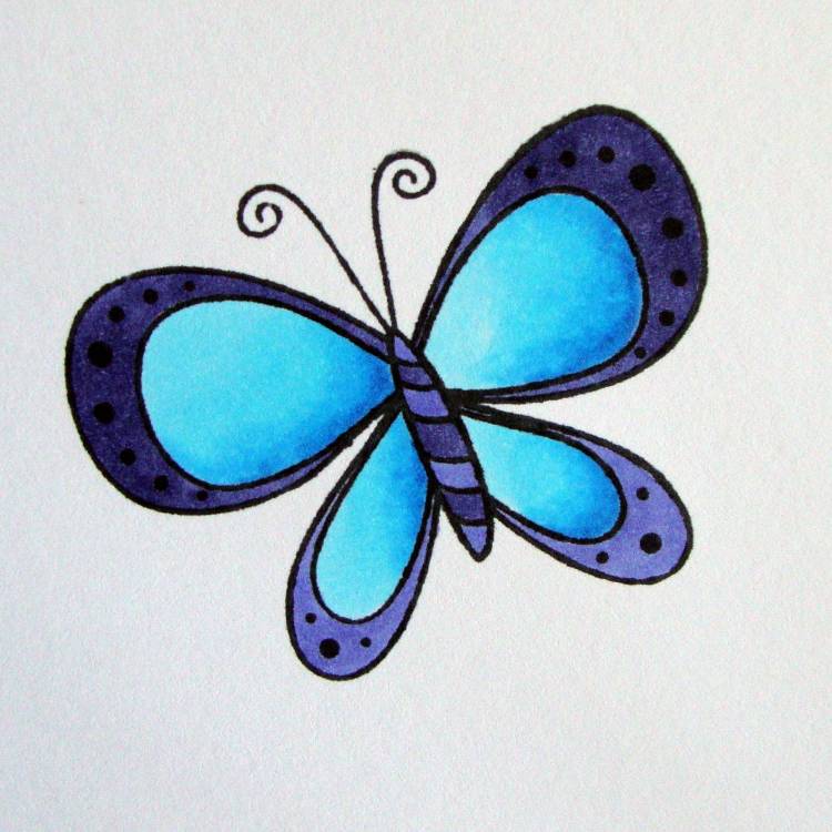 Бабочка рисунок для детей простой цветной