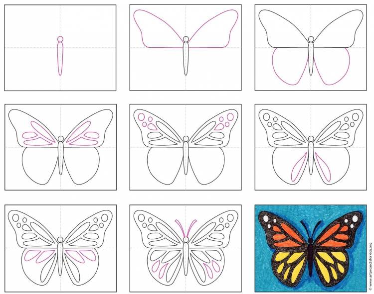 Рисунки бабочек для начинающих