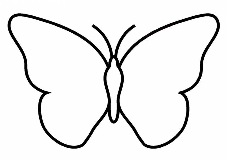 Бабочка рисунок карандашом шаблон