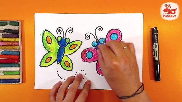 Рисунок бабочка детский