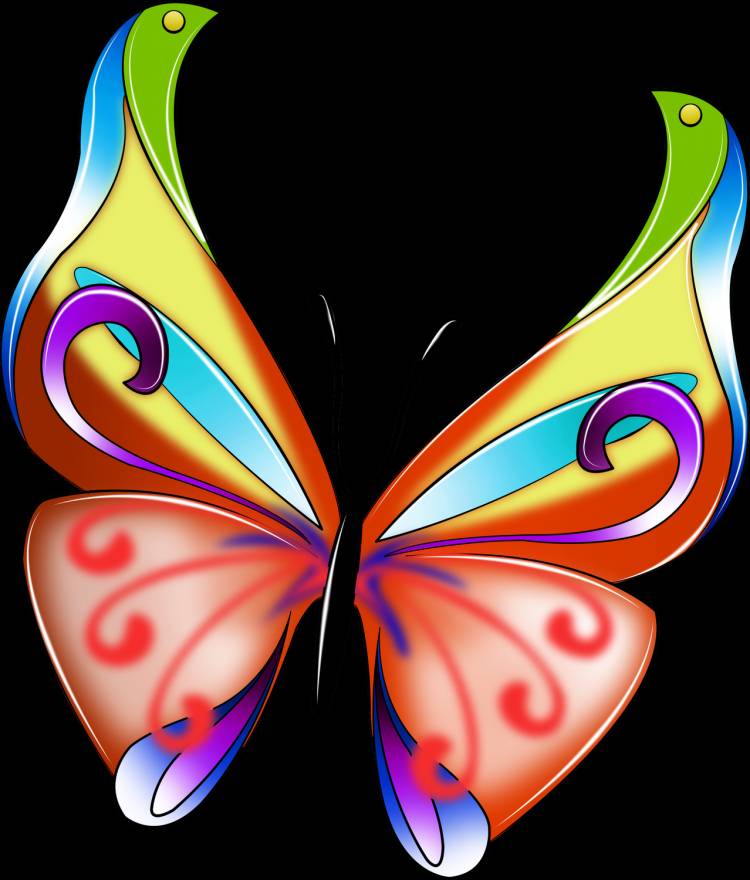 Бабочки рисунки цветные для детей