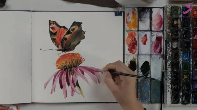 Как нарисовать бабочку для начинающих
