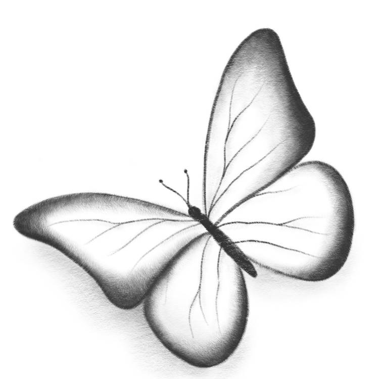 Эскиз бабочки легкий