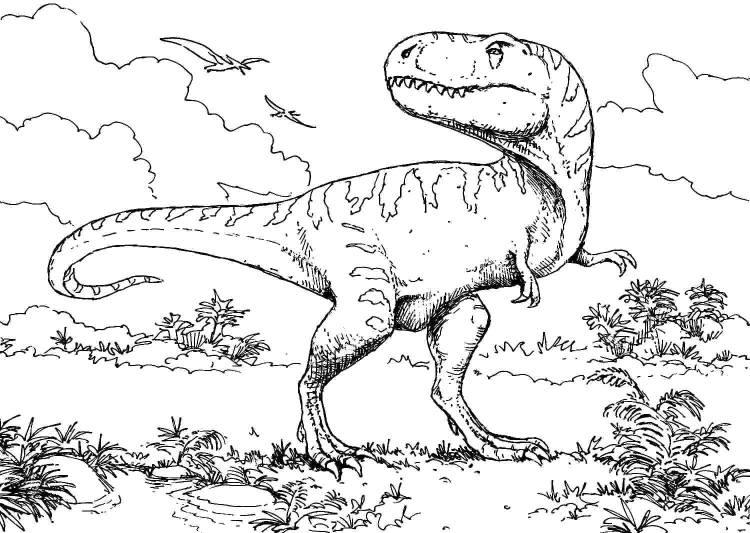 Раскраска Тираннозавр распечатать бесплатно