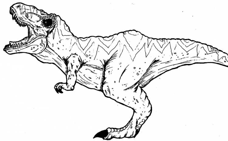 Раскраски Тираннозавр для детей 