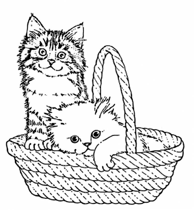 Котята в корзинке раскраска для детей
