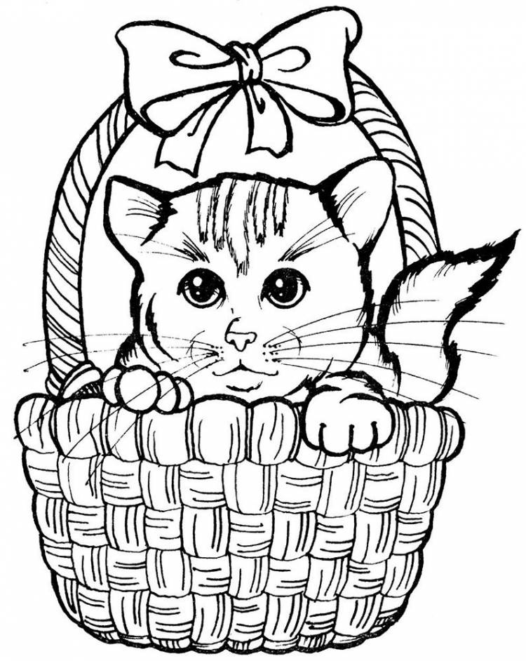 Котята в корзине раскраска
