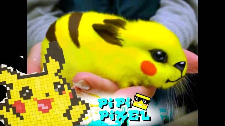 ШОК! РЕАЛИСТИЧНЫЙ ПИКАЧУ рисуем по клеточкам !Very Pikachu Easy !PIPIXEL ART HOW TO DRAW !
