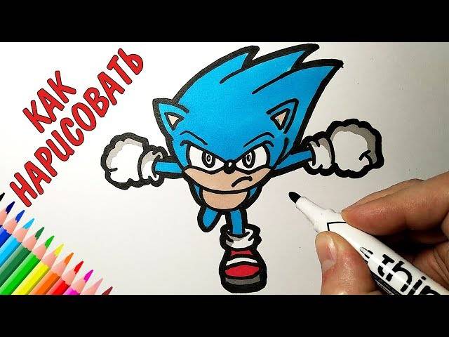 How to draw a Sonika Hedgehog, Pictures for children and beginners
