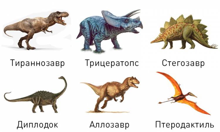 Динозавры раскраски для детей распечатать на А