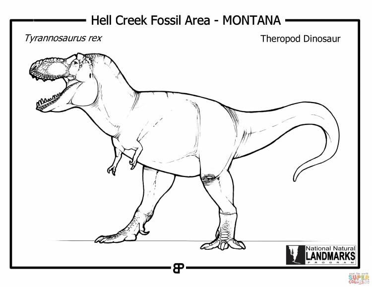 Раскраска Тиранозавр Рекс