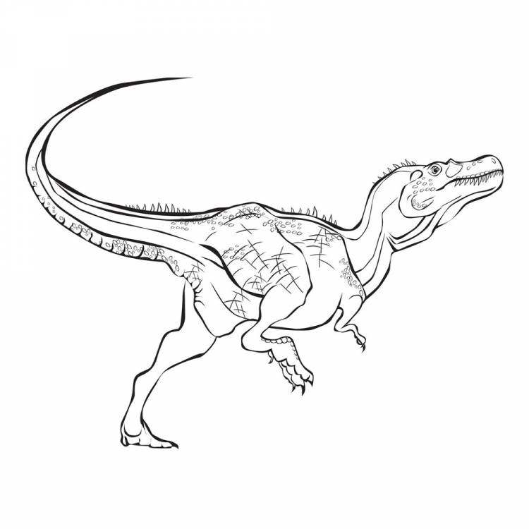 Раскраска Тираннозавр распечатать или скачать