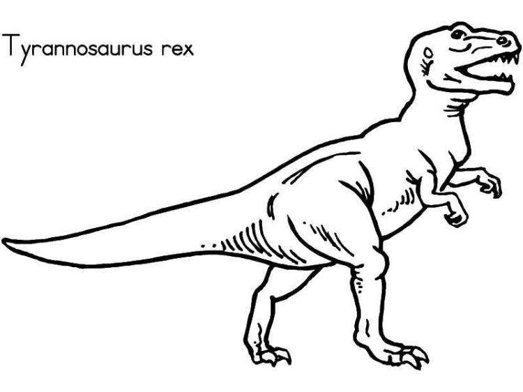 Раскраски Раскраска Тиранозавр рекс динозавр, Раскраски детские