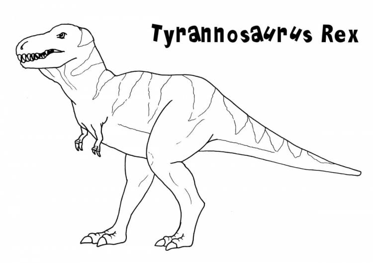 Раскраски Тираннозавр