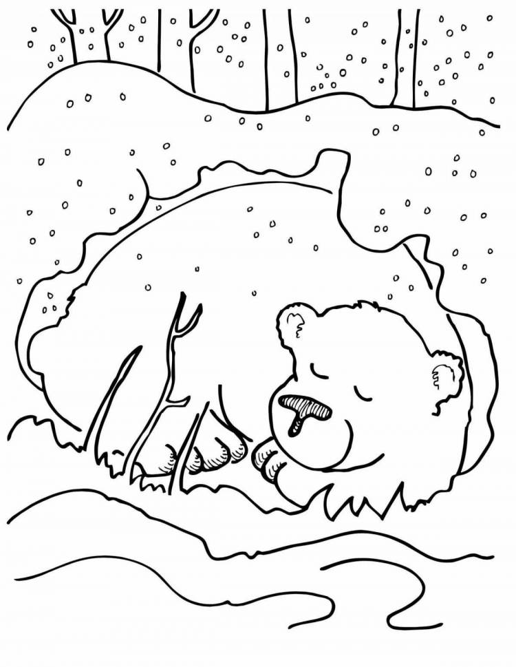 Раскраски Для детей животные зимой 