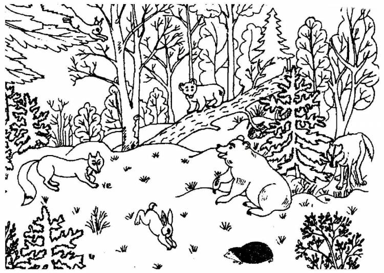 Животные зимой в лесу раскраска